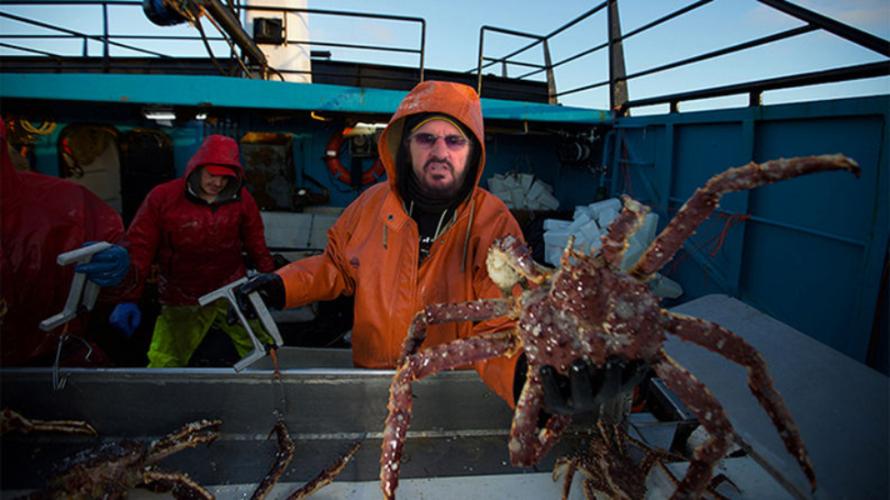 Ringo Starr Joins Cast Of Deadliest Catch - Madhouse Magazine