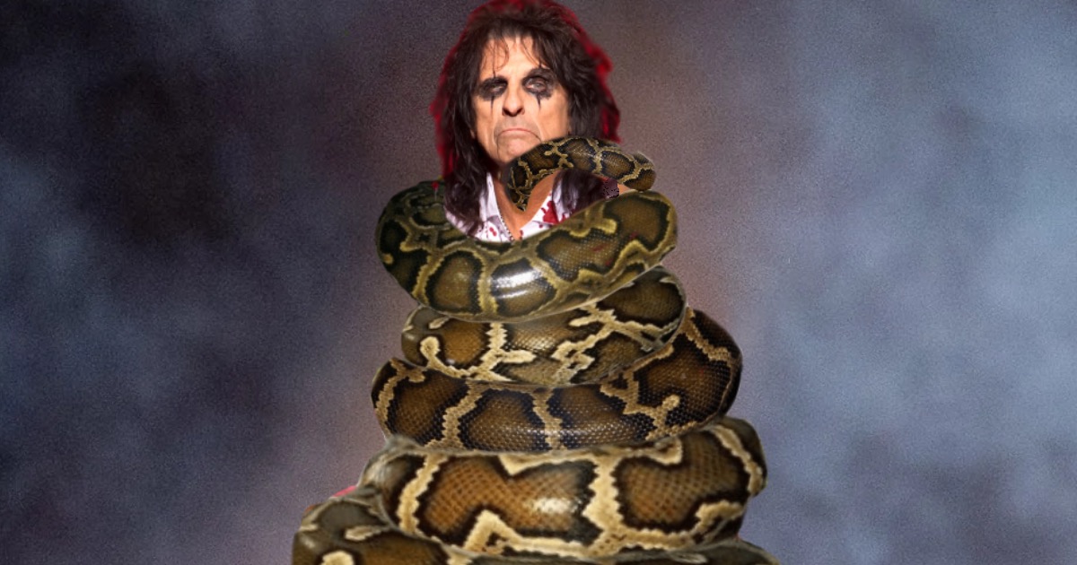 Alice Cooper Attacked & Squeezed By Snake On Stage: Saved By Fans ...